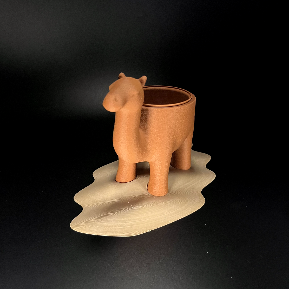 Camelpot - thumbnail 8